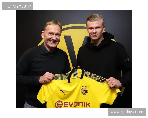 哈兰德持续高产的得分表现为球队赢得了更多主动权,哈兰德水平怎么样 哈兰德持续高产的得分表现为球队赢得了更多主动权,哈兰德水平怎么样