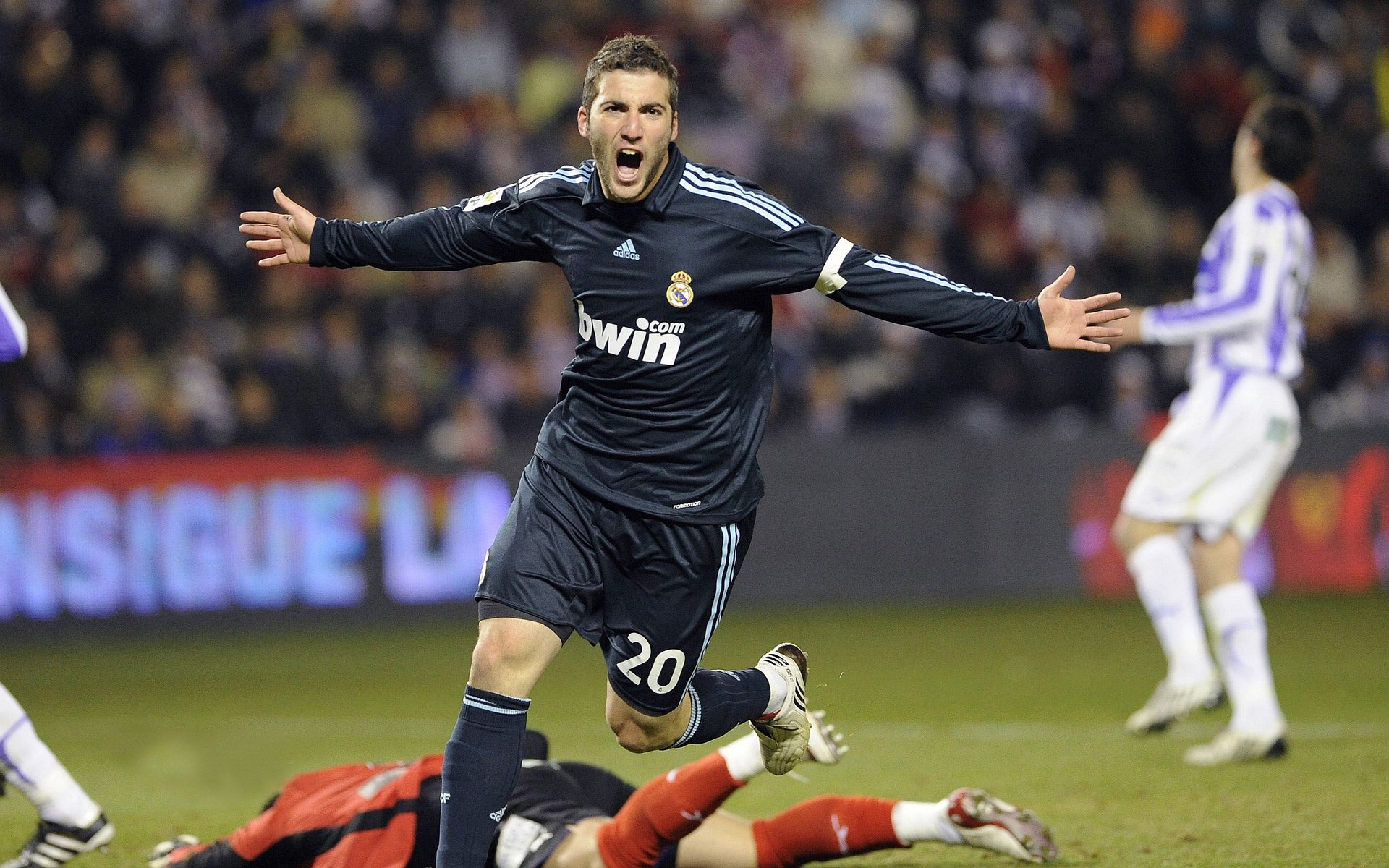 美洲杯追梦现场：明星光环闪耀全场！，美洲杯冠军猜测